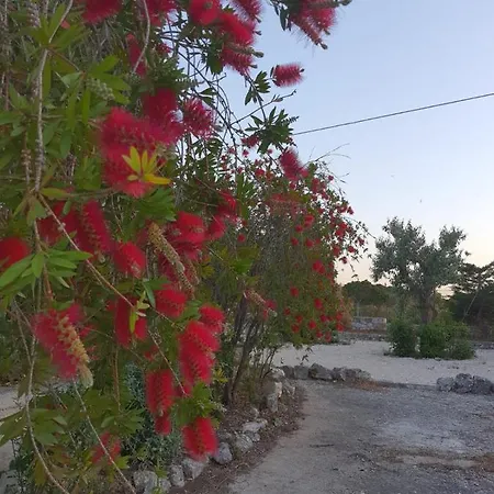 Trullo Raffaella Selva Di Fasano