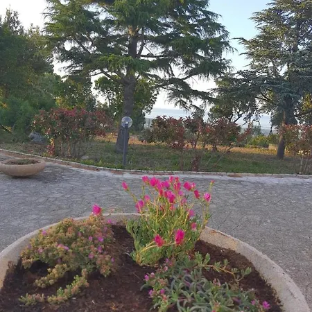 Trullo Raffaella Selva Di Fasano
